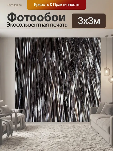Фотообои Пироглые перья