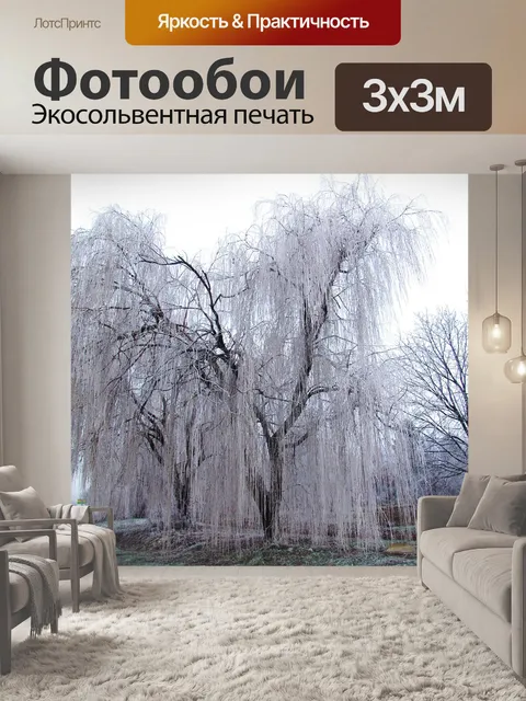 Фотообои Пастбище