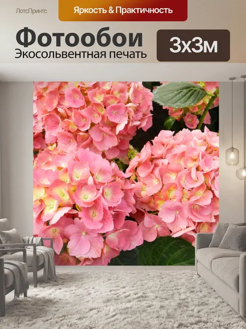 Фотообои Розовый гортензия # 1
