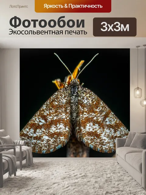 Фотообои Макро