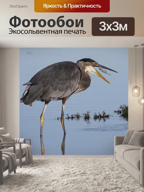 Фотообои Цапля