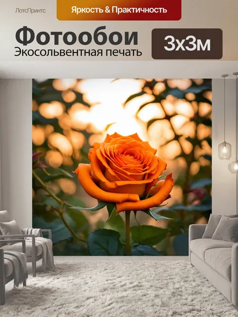 Фотообои оранжевый цвет: оранжевые розы в свете заката, создающие прекрасный контраст с окружающей зеленью