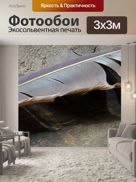 Фотообои серый перо, вид сбоку