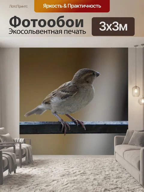 Фотообои Птицы