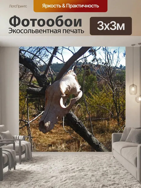 Фотообои частичный череп животного в дереве