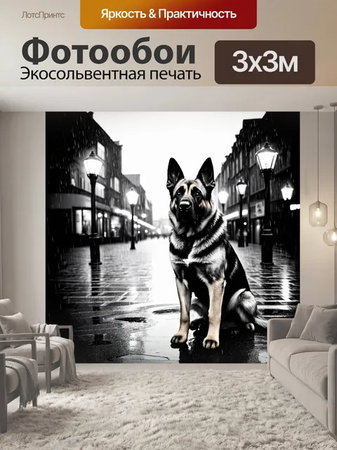Фотообои под дождем старая немецкая овчарка восседает на площади города