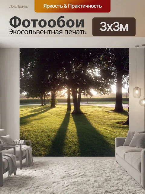 Фотообои После бури