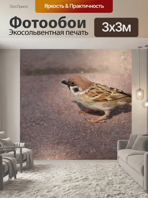 Фотообои Воробей