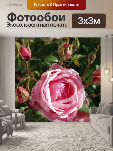 Фотообои Розы