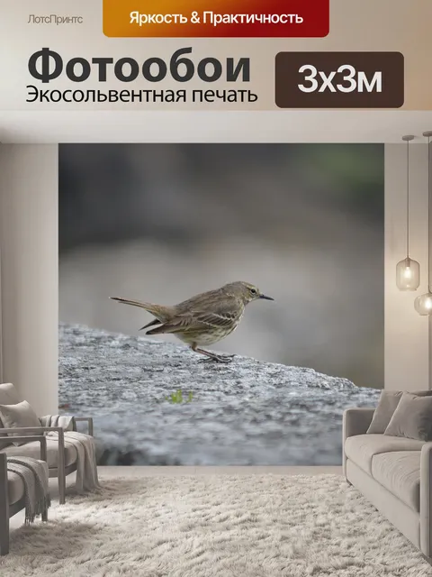 Фотообои Маленький Воробей