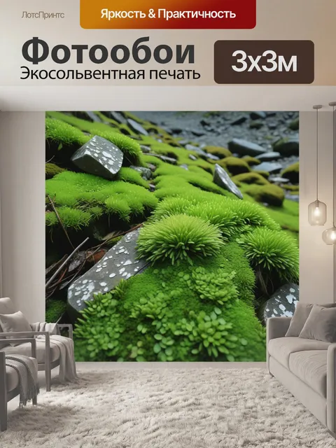 Фотообои камни и мох у подножия горы