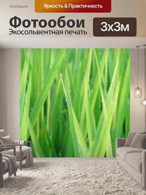 Фотообои Росы
