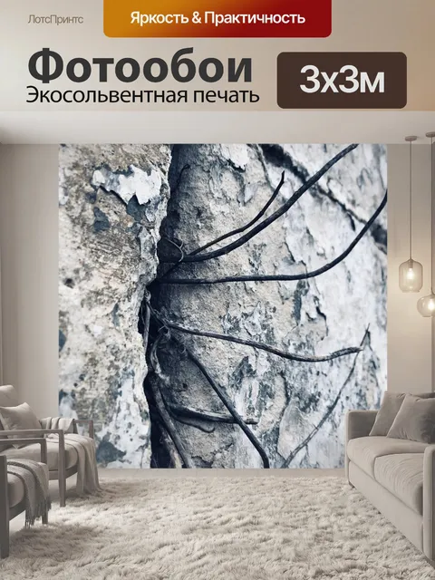 Фотообои Стена