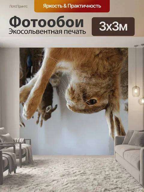Фотообои Кролик