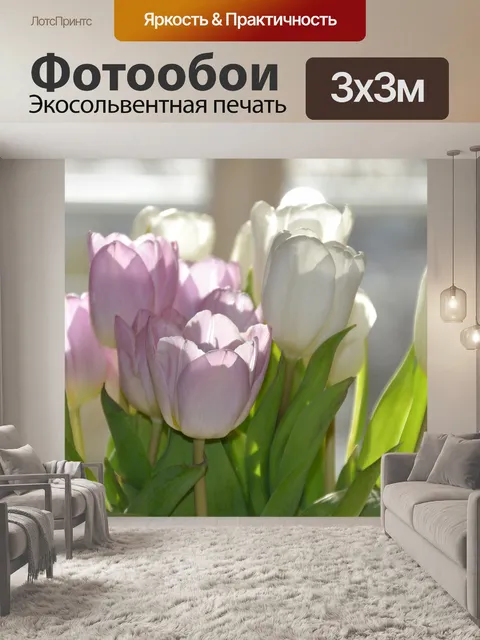 Фотообои Тюльпаны
