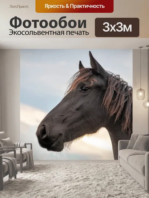Фотообои Лошадь