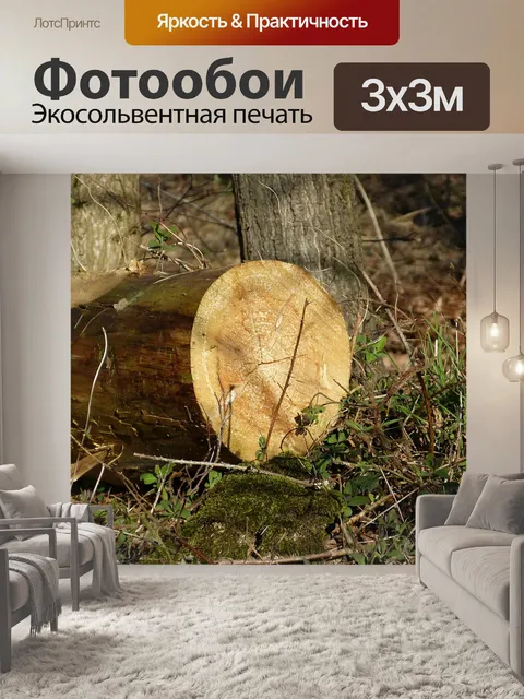 Фотообои Дерево
