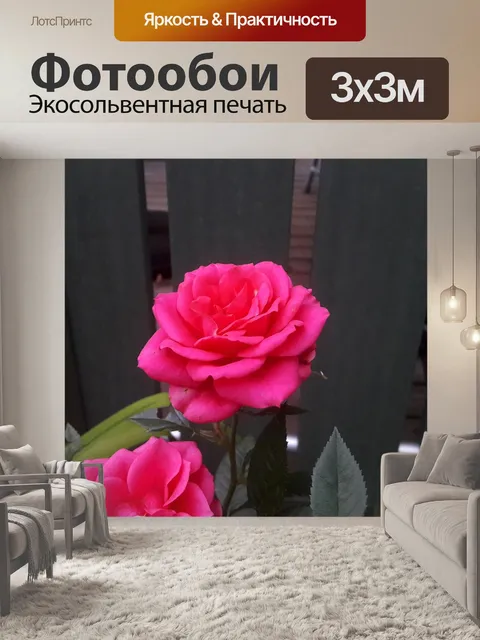 Фотообои Рось