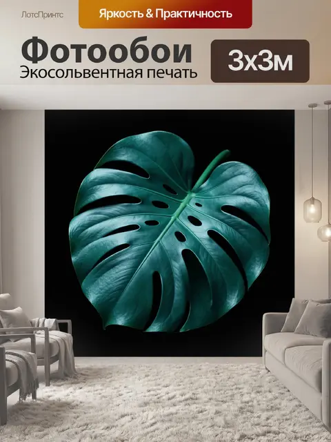 Фотообои Тропический лист на темном фоне