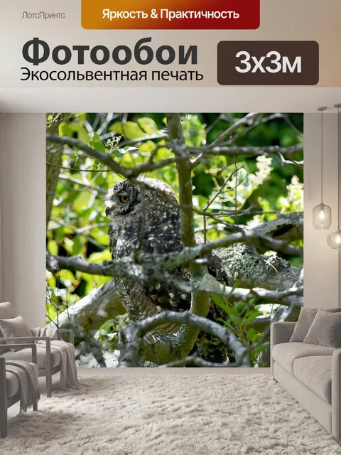 Фотообои Птица