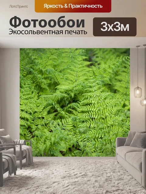 Фотообои папоротник