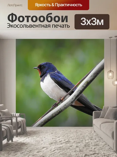 Фотообои Ласточка