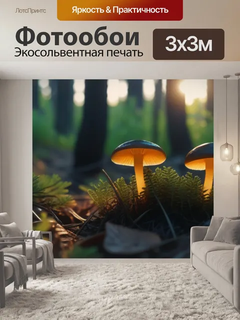 Фотообои грибы в подлеске, освещенные закатом