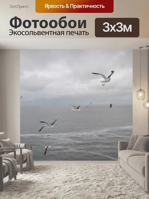 Фотообои Чайка