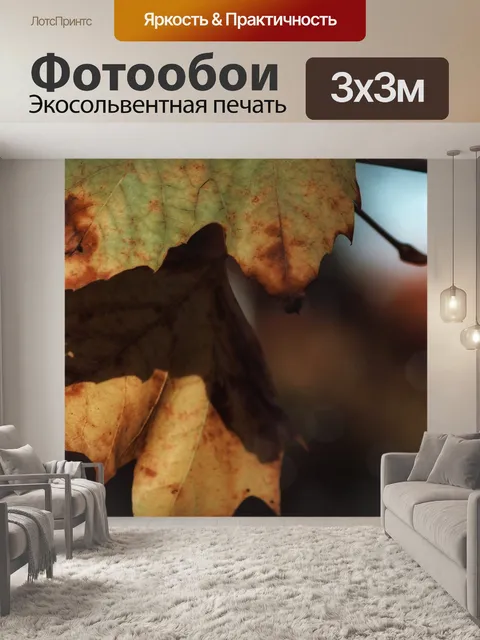 Фотообои Падение