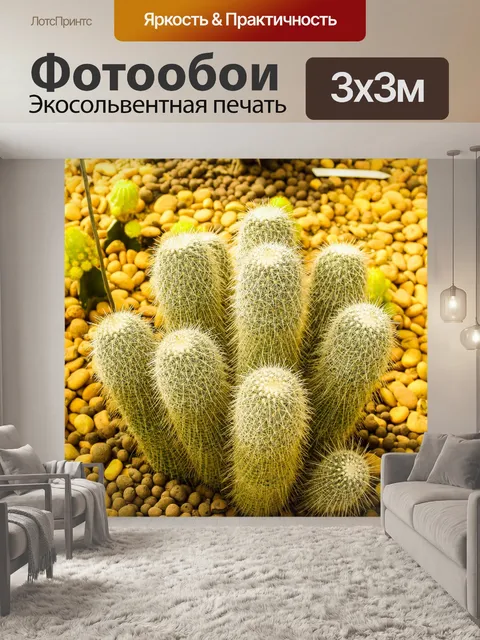 Фотообои Кактусовое пустынное растение