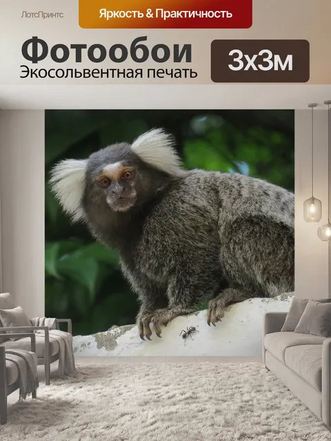 Фотообои Животное