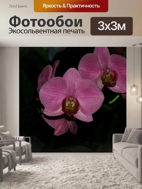 Фотообои Фон
