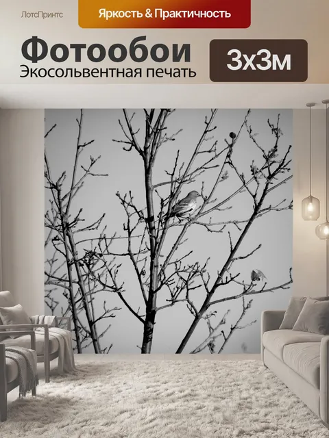 Фотообои Черное и белое