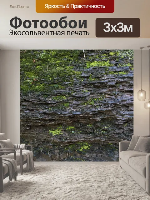 Фотообои Стена