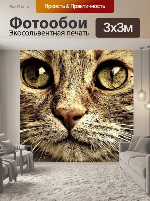 Фотообои Кот