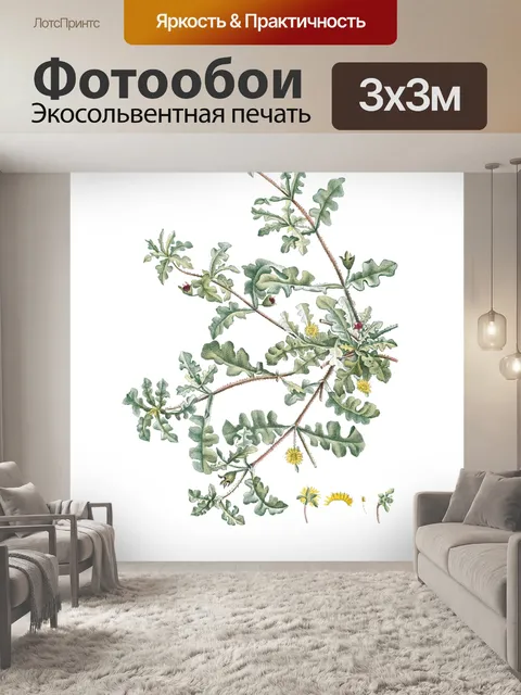 Фотообои Винтажная иллюстрация растений