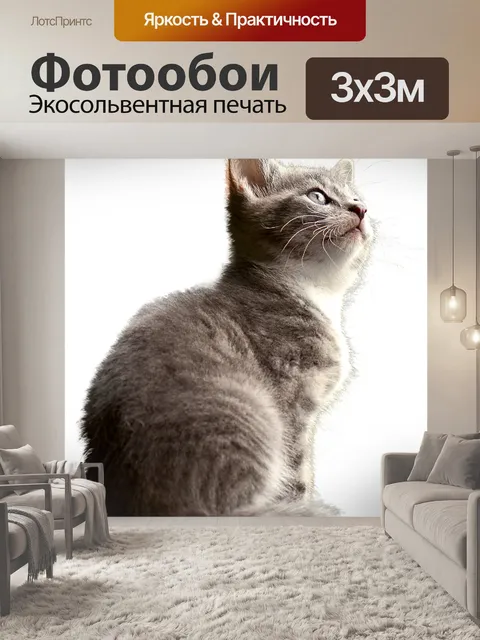 Фотообои Кот