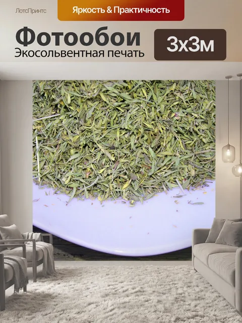 Фотообои сушеные травы на белом фоне