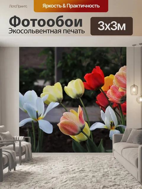 Фотообои Ветер
