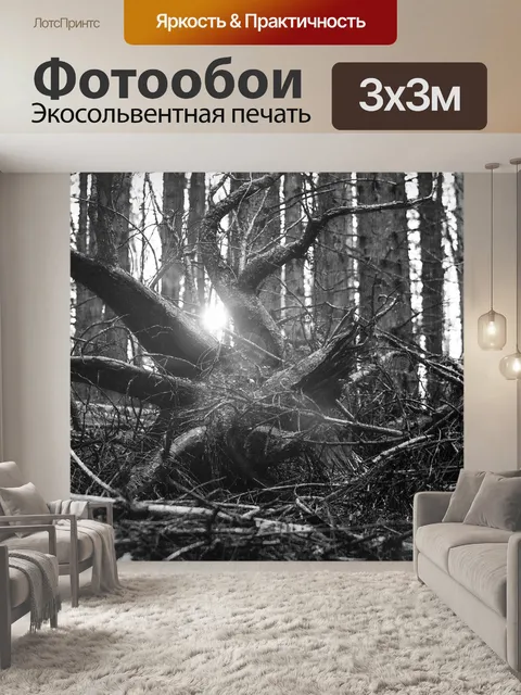 Фотообои Лес