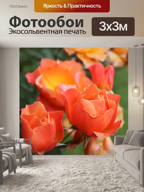 Фотообои Розы