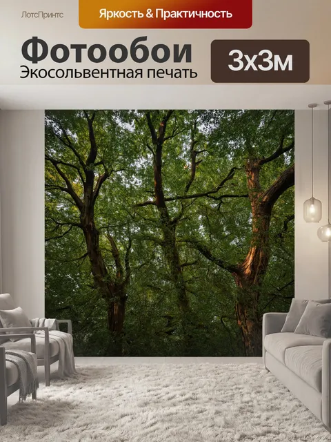 Фотообои густой лес из дерева с необычными формами и листьями, создаёт идеи для вдохновения и мечты