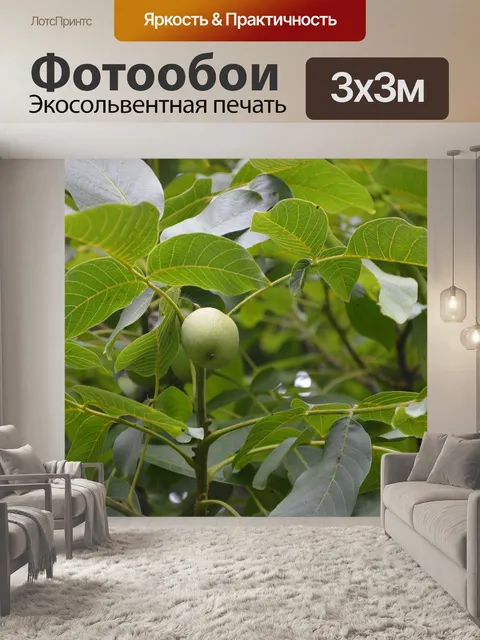 Фотообои Орехи