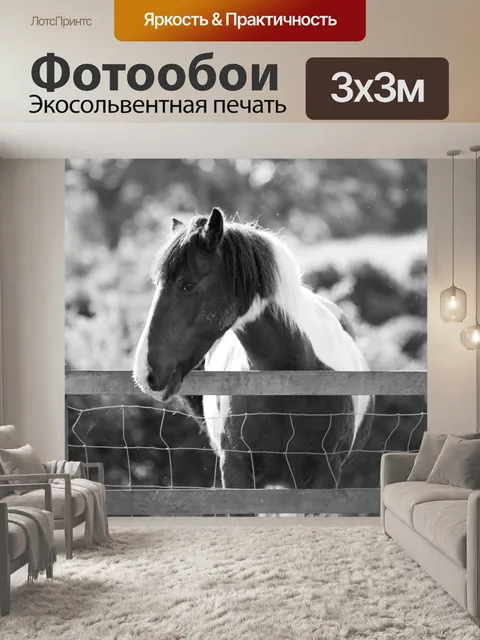 Фотообои лошадь