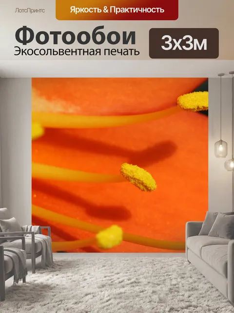 Фотообои Джентльмен