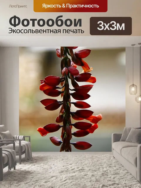 Фотообои Цветы