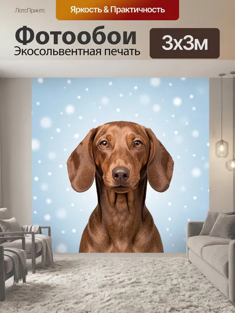 Фотообои Коричневый щенок лабрадора