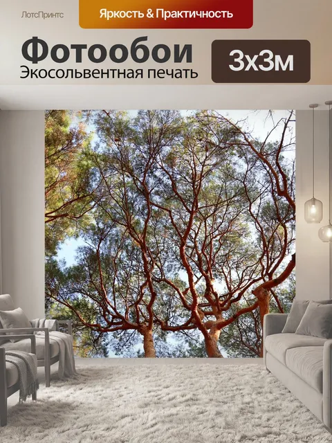 Фотообои Красная сосна