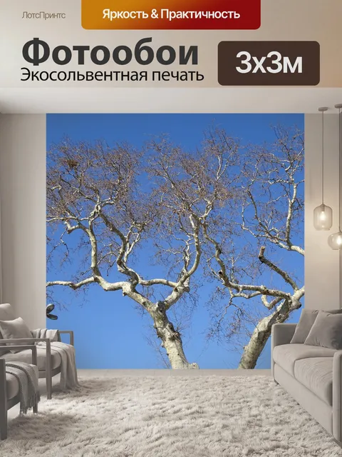 Фотообои Дерево