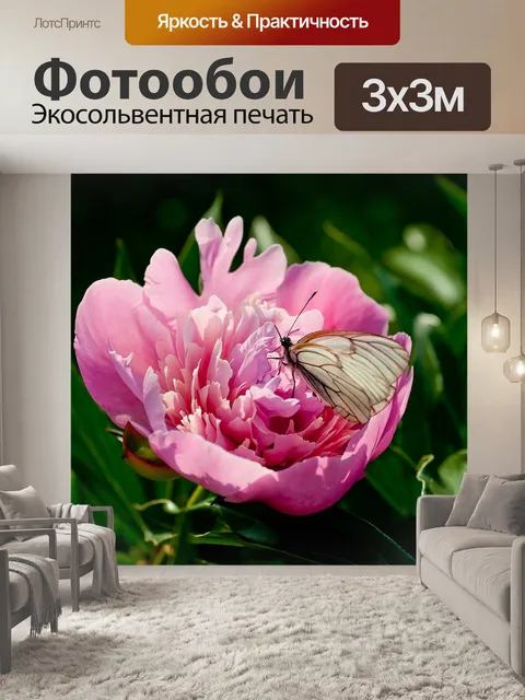 Фотообои Природа